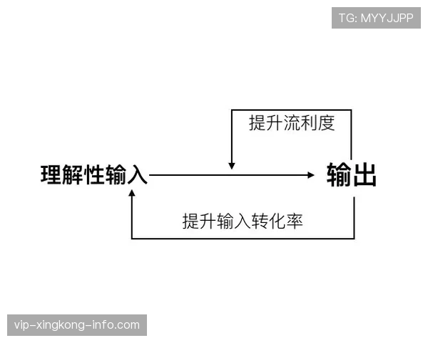 罗本与伊万内斯奇冲击转化率偏移及单点驱动差异 罗本与伊万内斯奇冲击转化率偏移及单点驱动差异